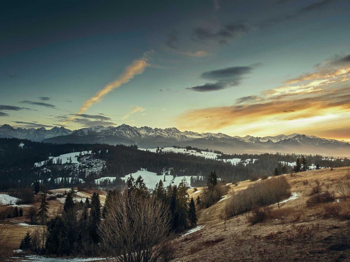 Arabian Coffee Selection