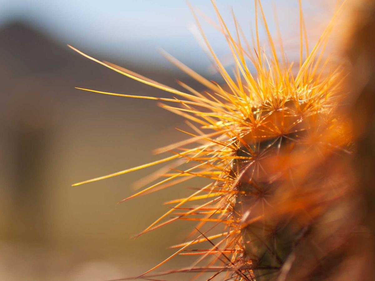 Kitchen Cookware Set